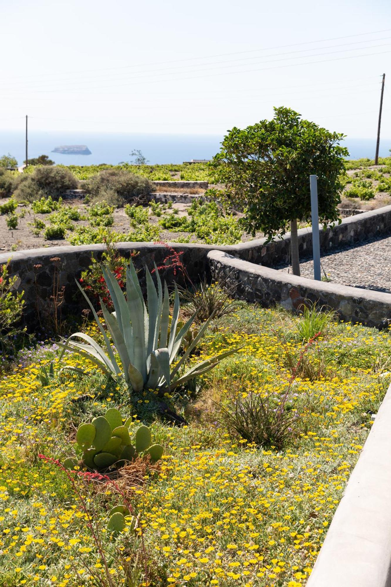 Soil Of Sun Luxury Villas Megalochori (Santorini) Exterior foto